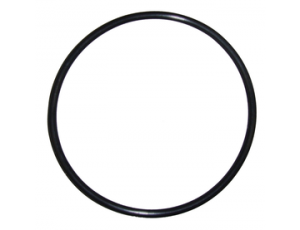 O-ring for Big Blue filter housing